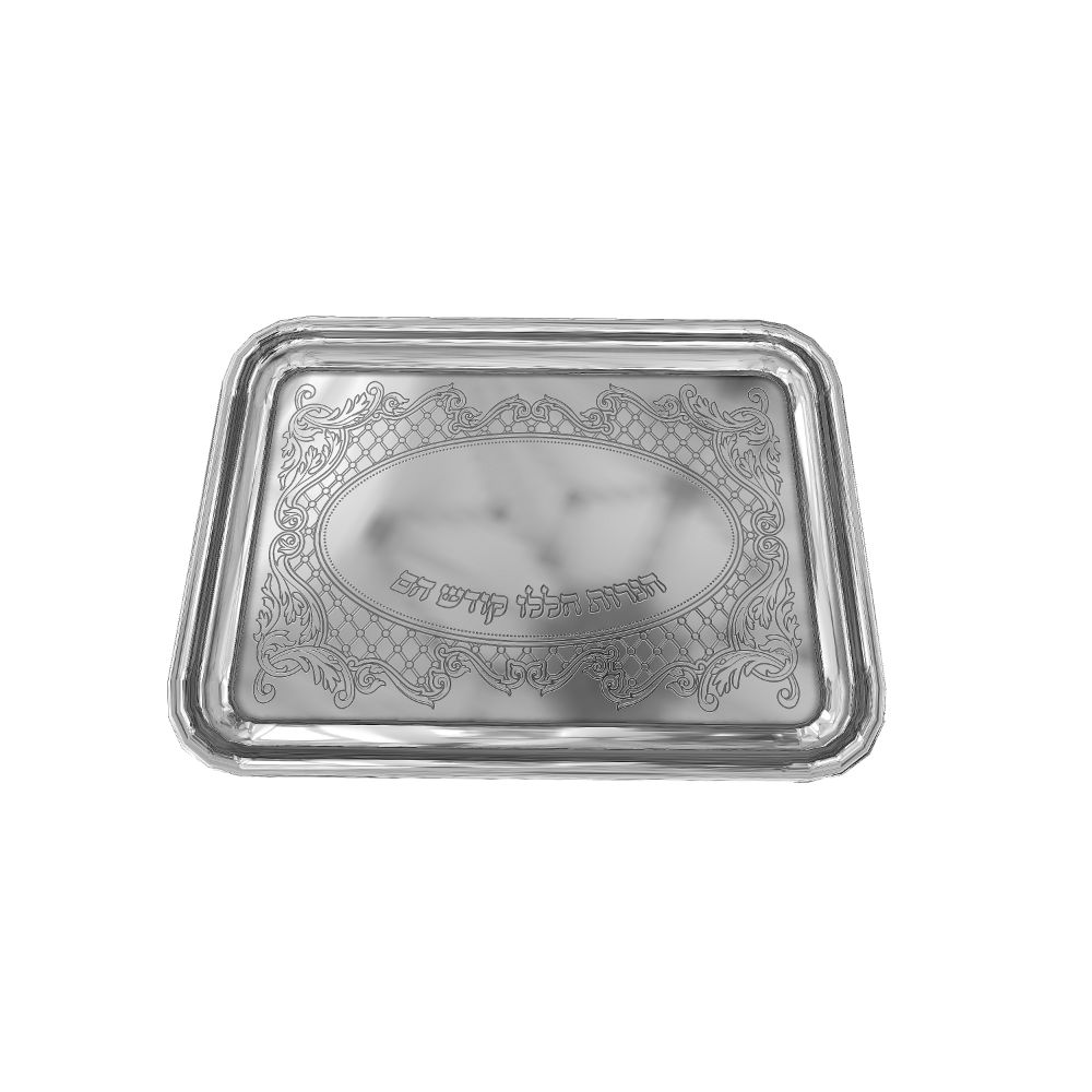 Stainless Steel Chanukah tray 9.5x14"