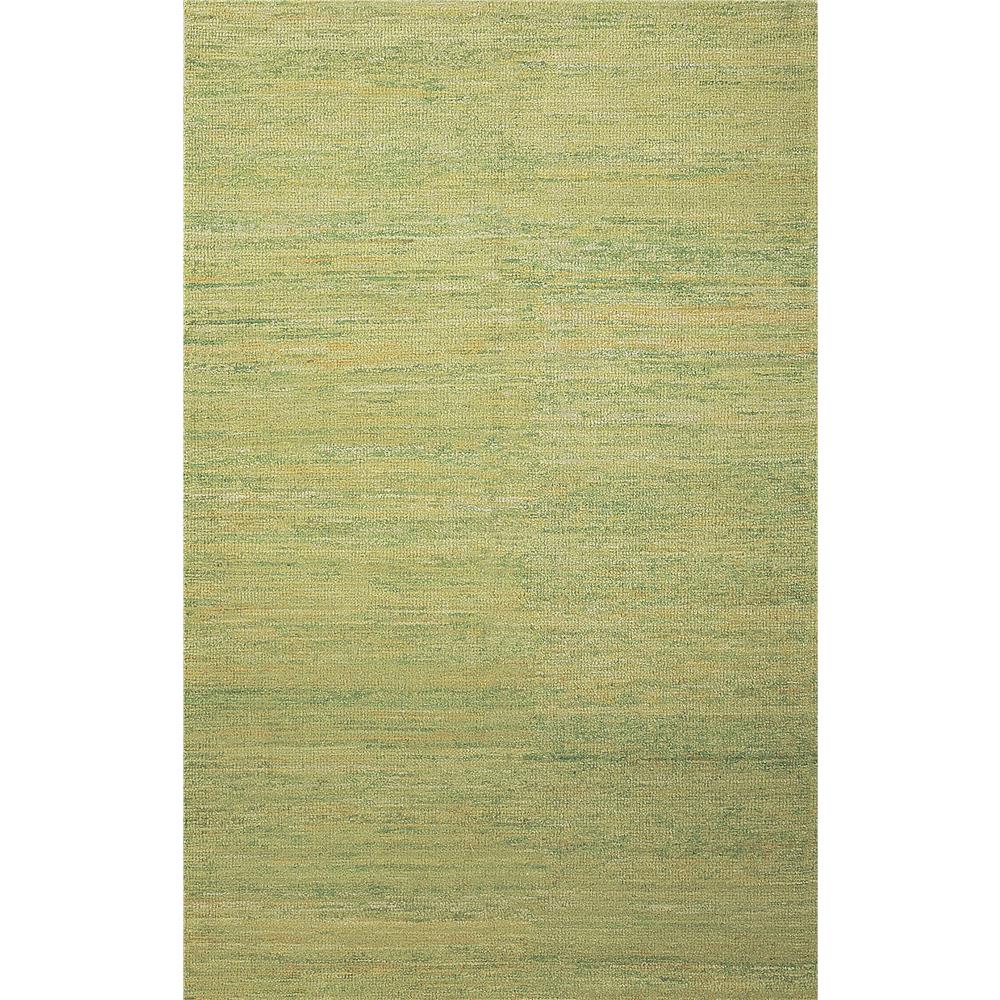 Amer Rugs CHI30203 Chic Modern Design Hand-Woven Rug in Sage Green