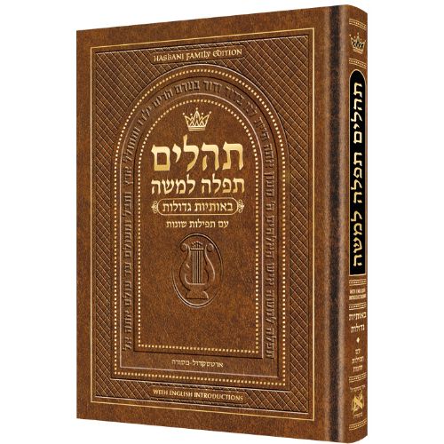 Hebrew Only, Large Type Tehillim with English Introductions- Light Brown
