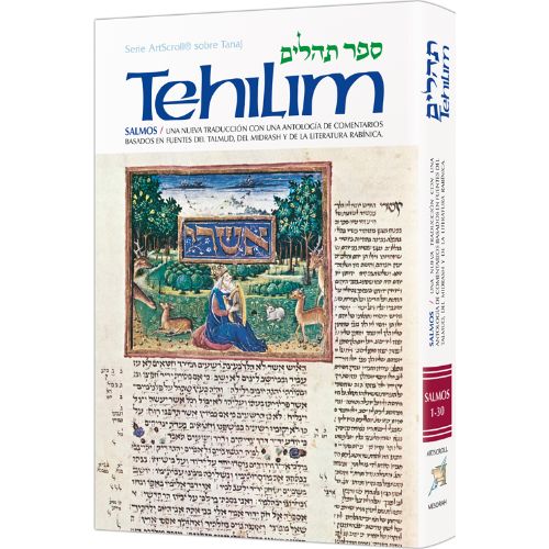 Spanish Tehillim / Psalms Vol. 1
