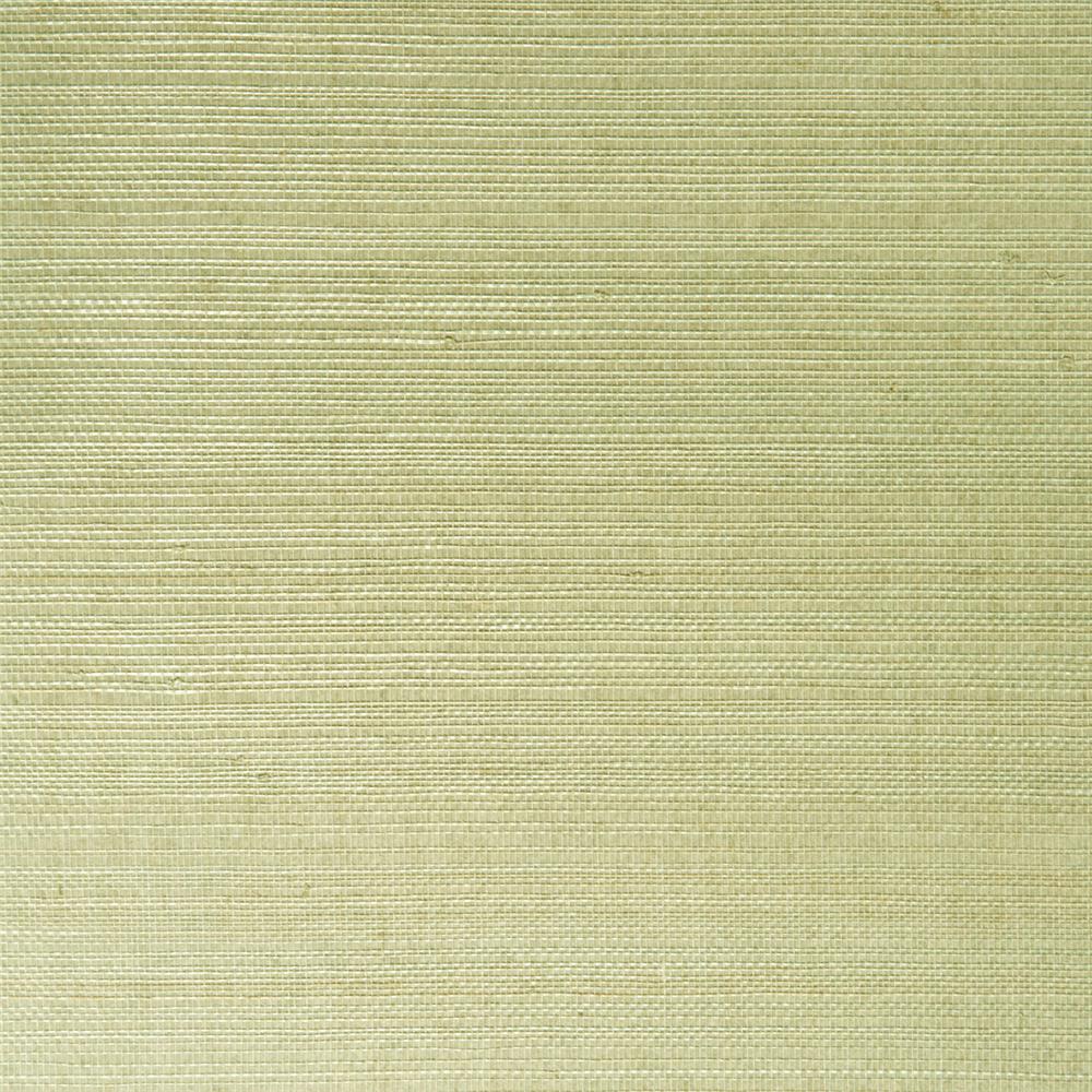 Kenneth James by Brewster 2693-54748 Mutei Sage Grasscloth Wallpaper