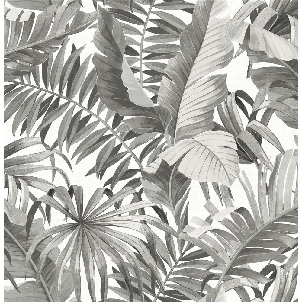 A-Street Prints by Brewster 2744-24134 Alfresco Black Palm Leaf Wallpaper