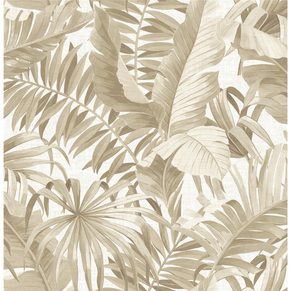 A-Street Prints by Brewster 2744-24135 Alfresco Taupe Palm Leaf Wallpaper