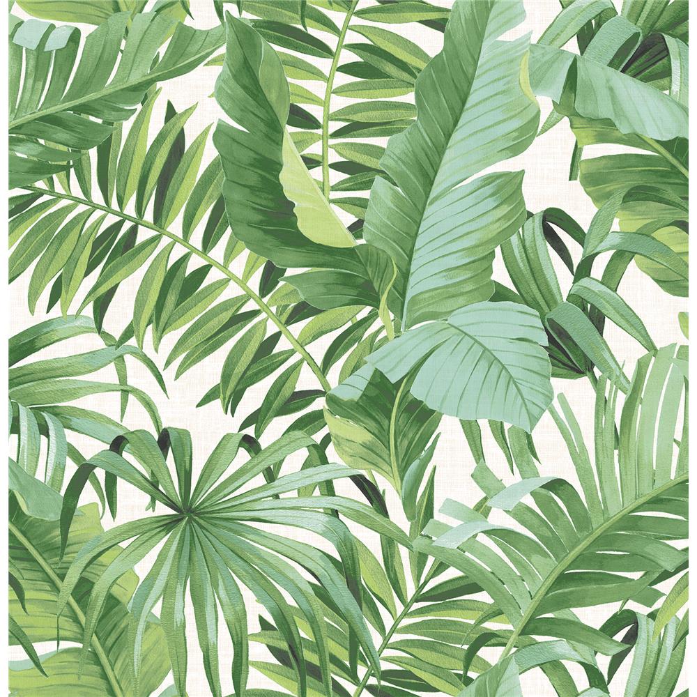 A-Street Prints by Brewster 2744-24136 Alfresco Green Palm Leaf Wallpaper