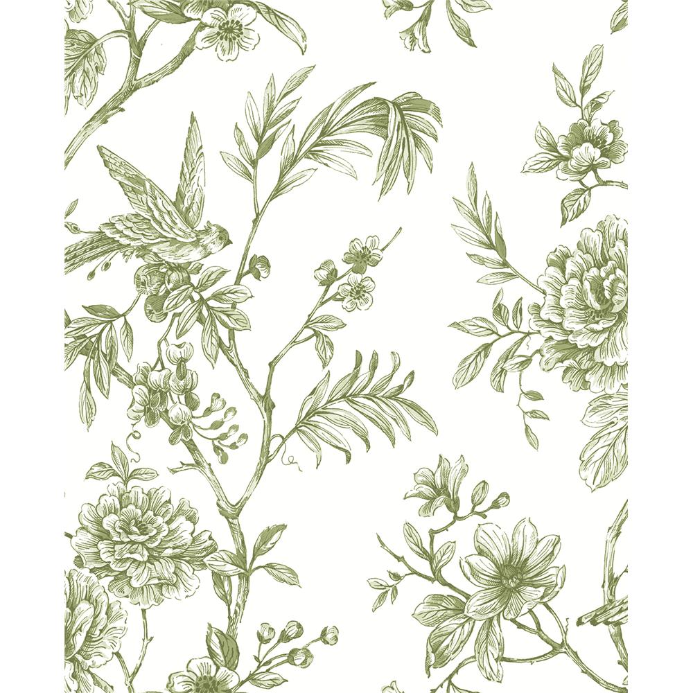 A-Street Prints by Brewster 2763-24234 Jessamine Green Floral Trail Wallpaper