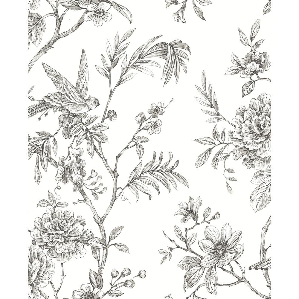 A-Street Prints by Brewster 2763-24237 Jessamine Grey Floral Trail Wallpaper