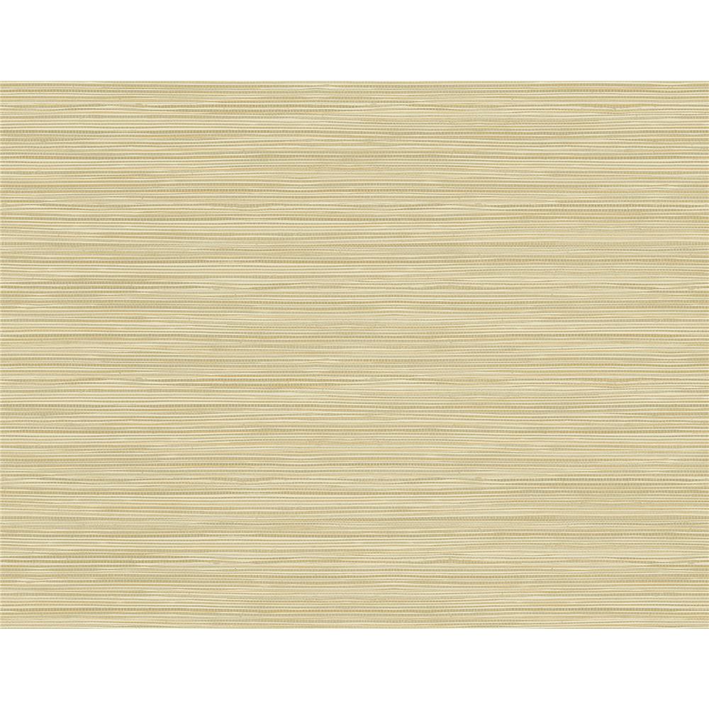 Kenneth James by Brewster 2765-BW40915 GeoTex Bondi Wheat Faux Grasscloth Wallpaper
