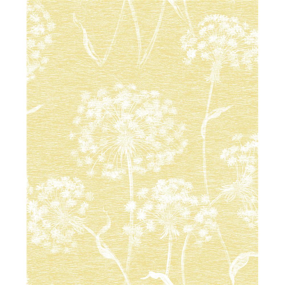 Advantage by Brewster 2811-24574 Nature Carolyn Yellow Dandelion Wallpaper