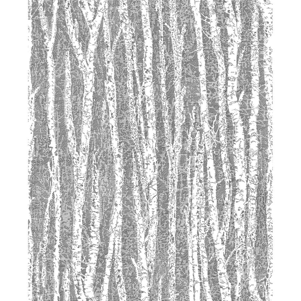 Advantage by Brewster 2811-24580 Nature Toyon Black Birch Tree Wallpaper