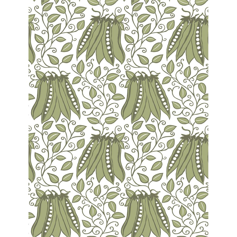 A-Street Prints by Brewster 2821-25120 Folklore Peas in a Pod Olive Garden Wallpaper