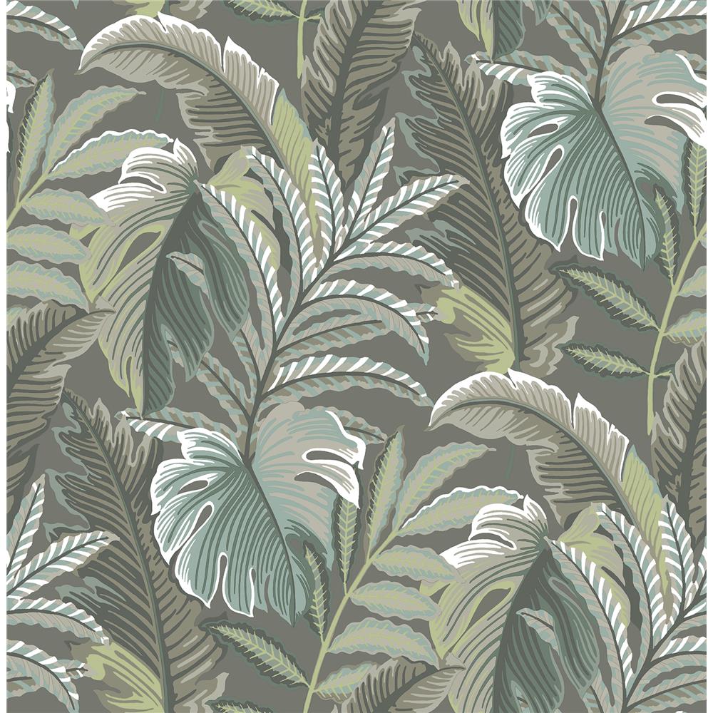 A-Street Prints by Brewster 2861-25761 Verdant Dark Grey Botanical Wallpaper