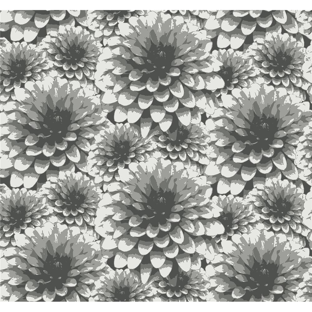A-Street Prints by Brewster 2861-87518 Umbra Charcoal Floral Wallpaper