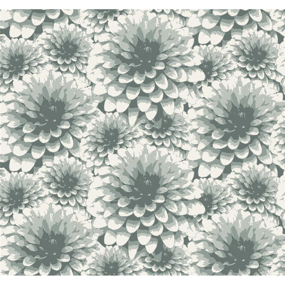 A-Street Prints by Brewster 2861-87520 Umbra Teal Floral Wallpaper