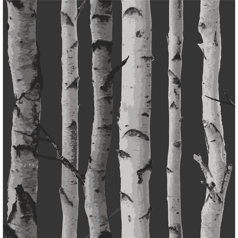 Fine Décor by Brewster 2900-31052 Distinctive Black Birch Tree Wallpaper