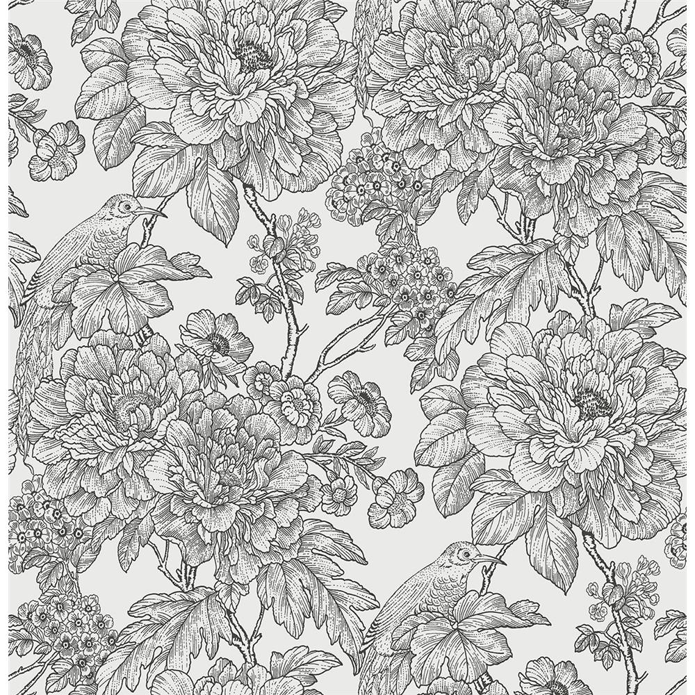 A-Street Prints by Brewster 2901-25414 Birds of Paraside Breeze Black Floral Wallpaper