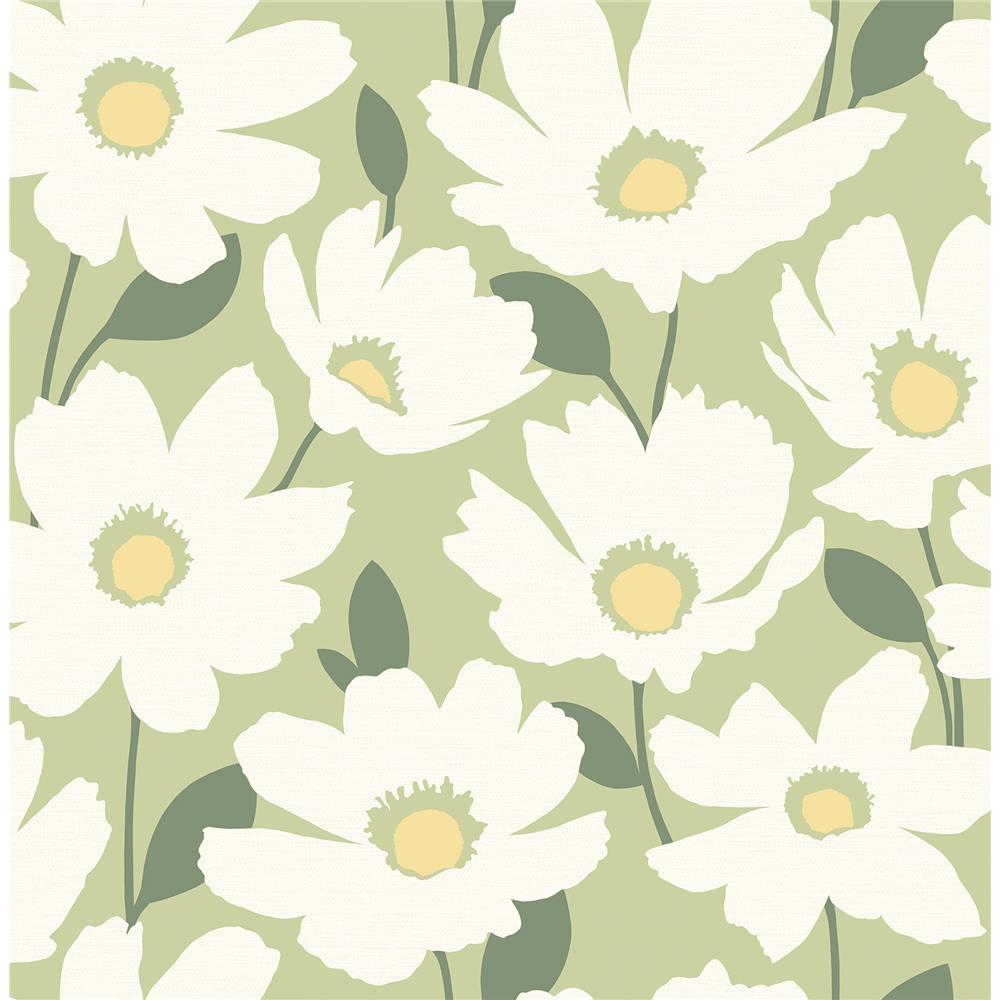 Brewster 2904-25677 Astera Green Floral Wallpaper