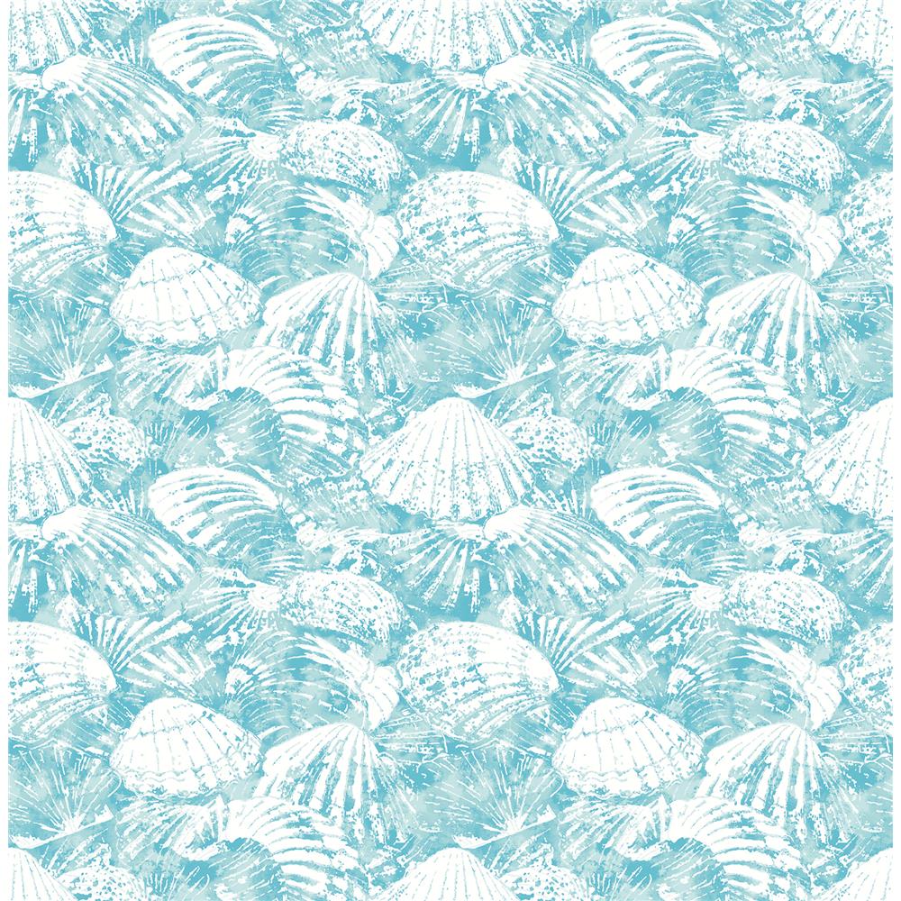 Brewster 2904-25688 Surfside Aqua Shells Wallpaper