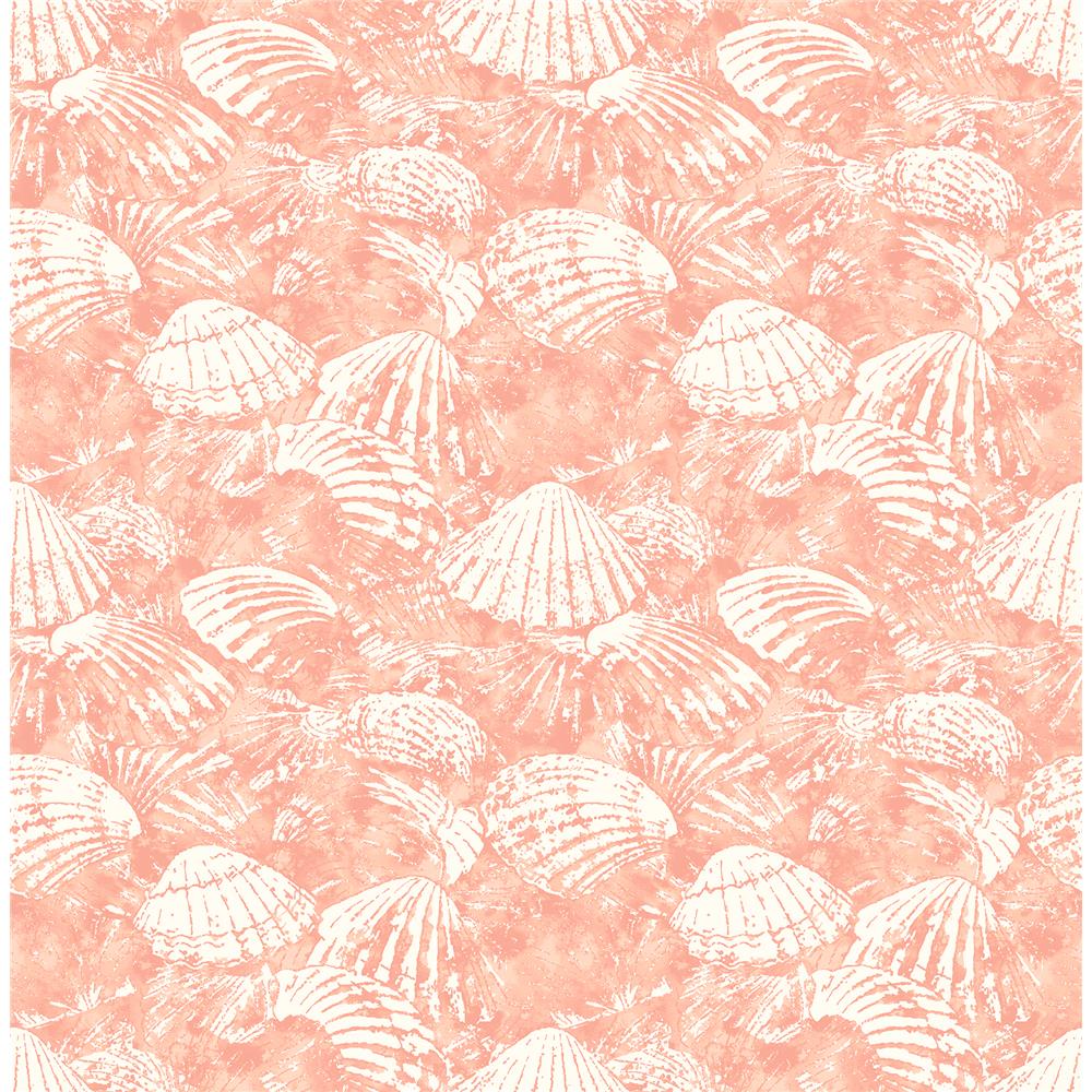 Brewster 2904-25689 Surfside Coral Shells Wallpaper