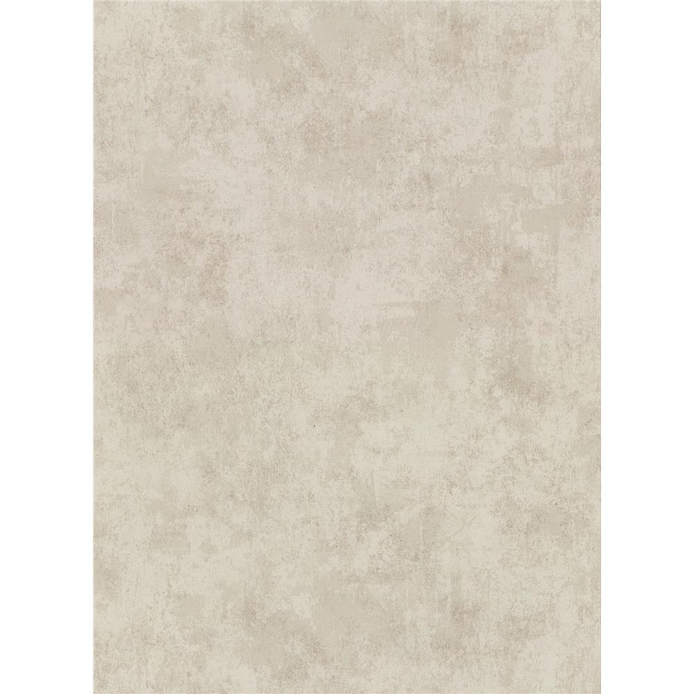 Warner by Brewster 2921-51205 Warner Textures IX 2754 Main Street Hereford Taupe Faux Plaster Wallpaper