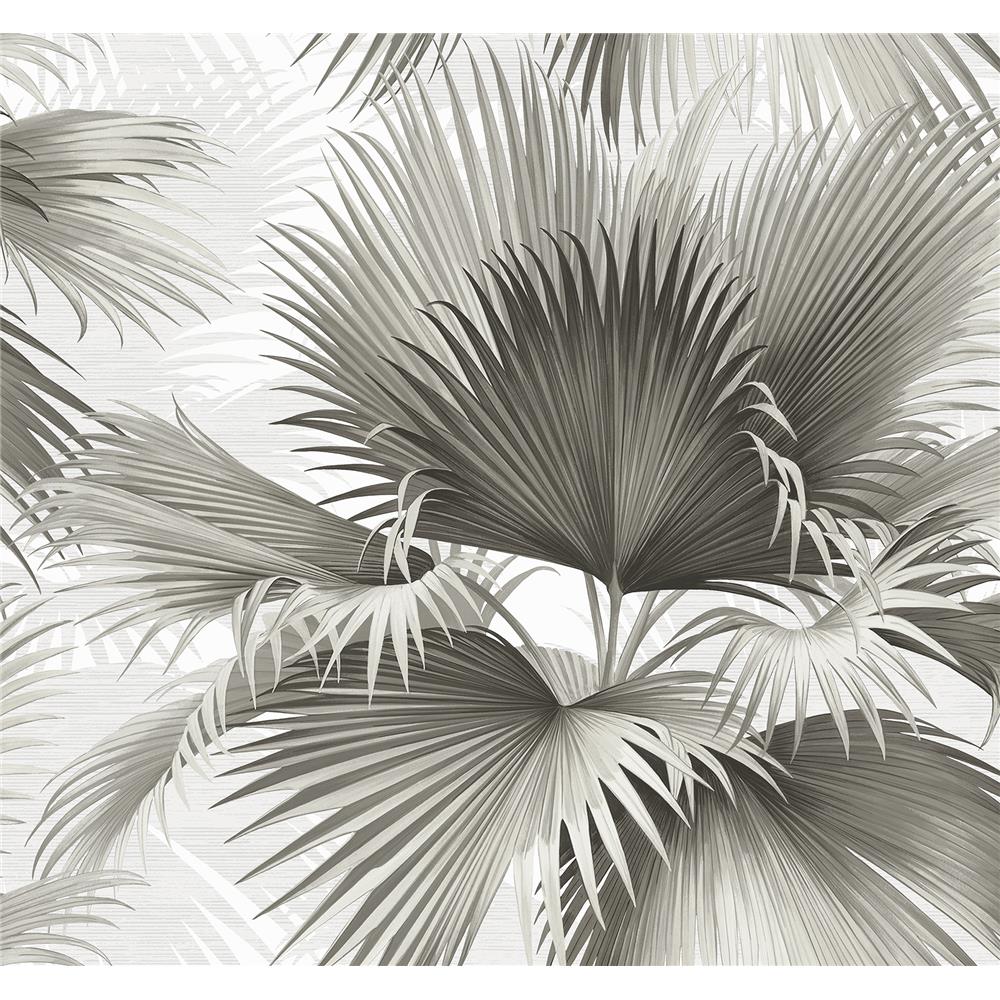 Newport by Brewster 2927-40100 Summer Palm Charcoal Tropical Wallpaper