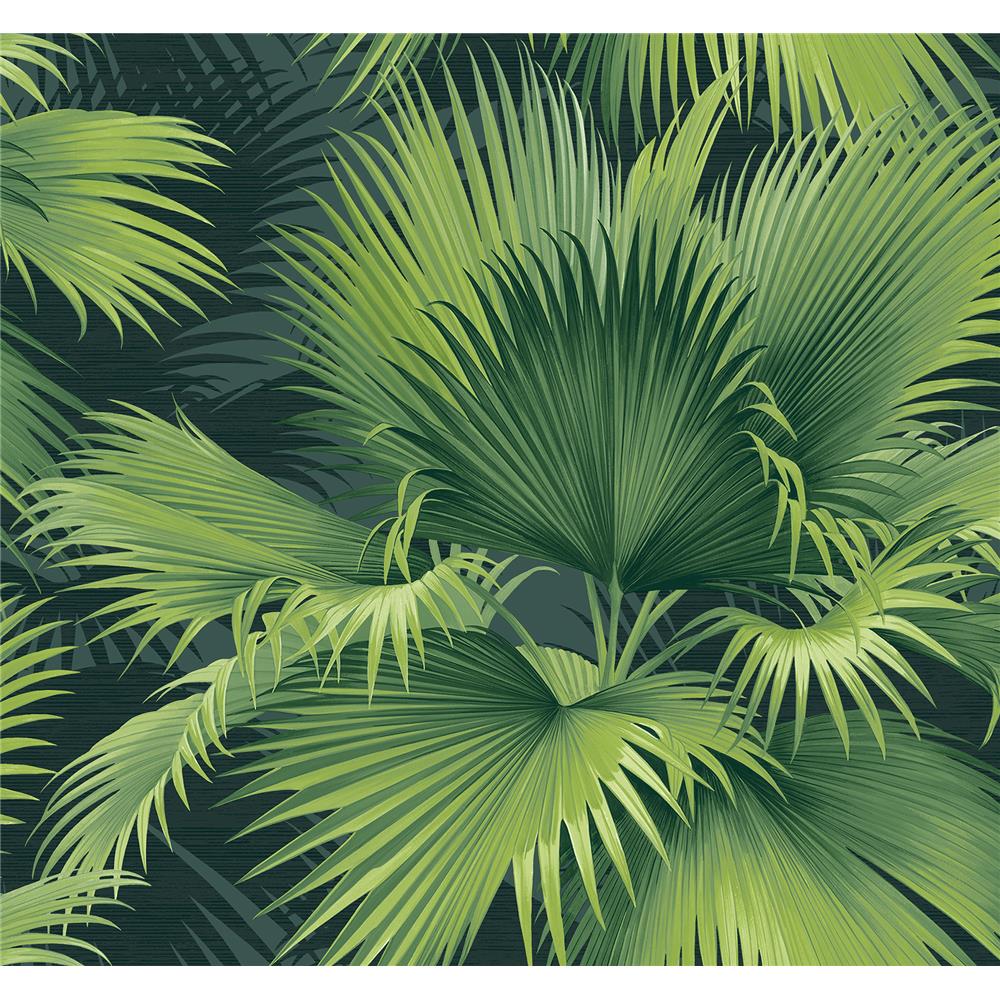 Newport by Brewster 2927-40104 Summer Palm Dark Green Tropical Wallpaper