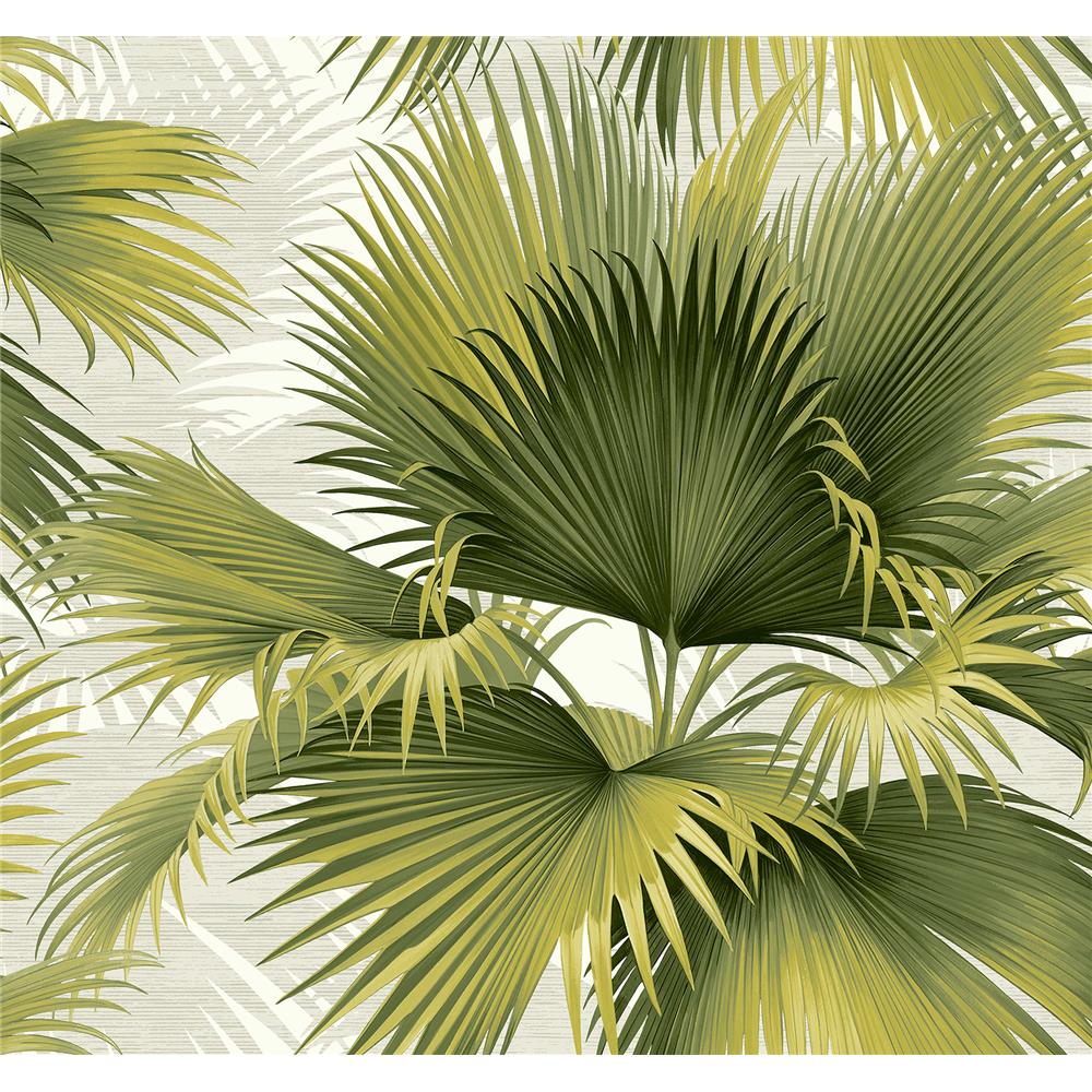 Newport by Brewster 2927-40114 Summer Palm Green Tropical Wallpaper