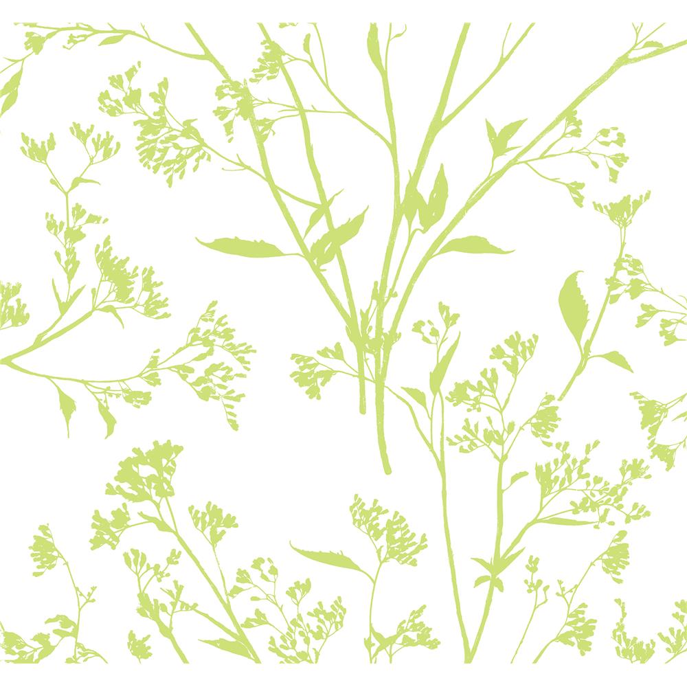 Newport by Brewster 2927-80704 Southport Chartreuse Delicate Branches Wallpaper