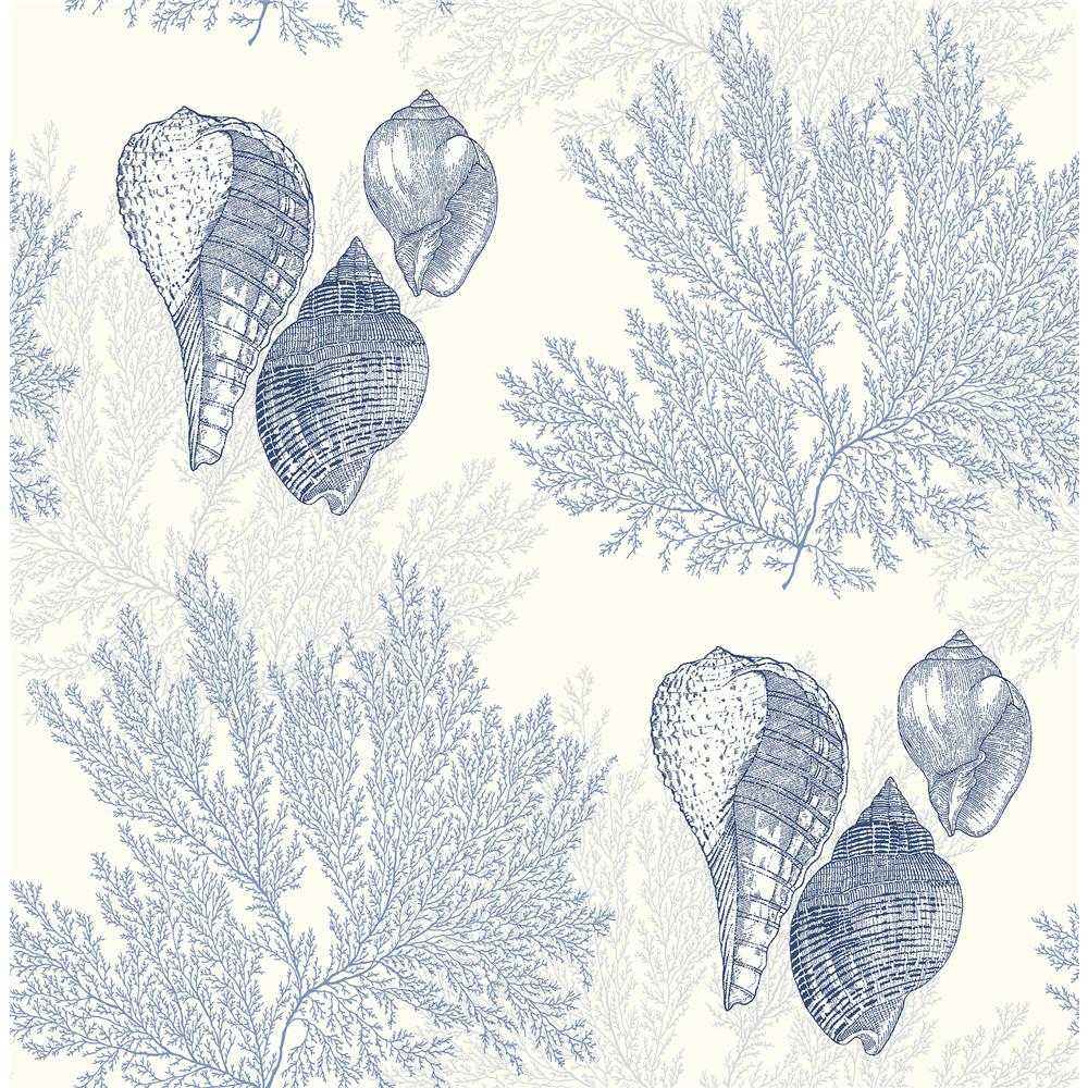 Newport by Brewster 2927-81202 Nauset Blue Seashell Shores Wallpaper