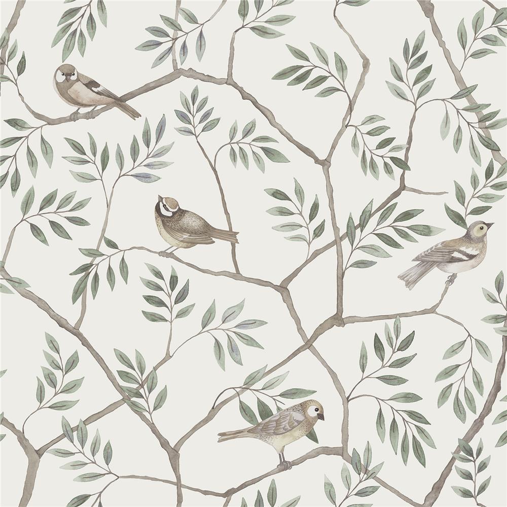 A-Street Prints by Brewster 2948-27015 Spring Crossbill Off-White Branches Wallpaper