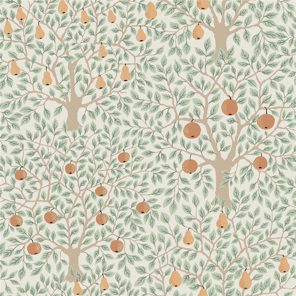 A-Street Prints by Brewster 2948-33011 Spring Pomona Multicolor Fruit Tree Wallpaper