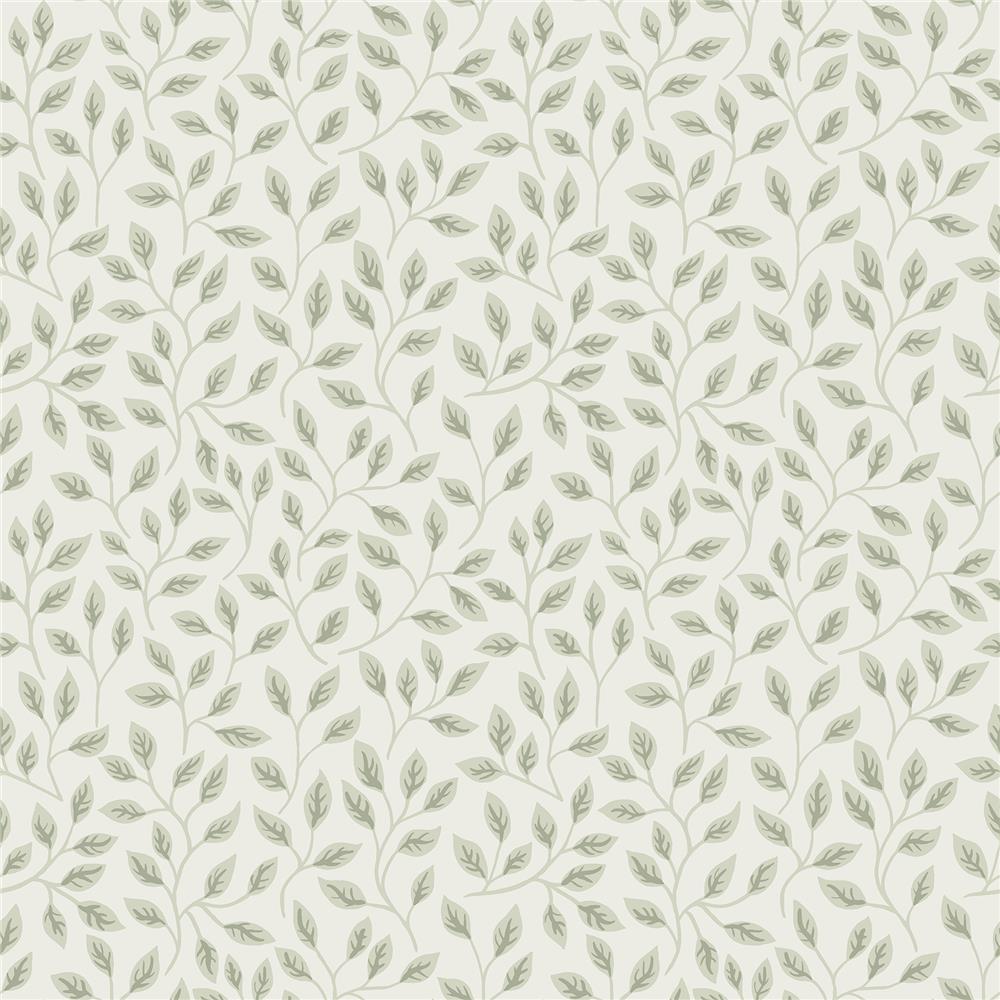 A-Street Prints by Brewster 2948-33019 Spring Posey Light Green Vines Wallpaper