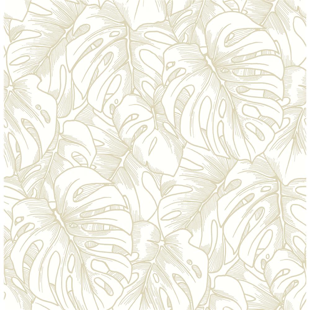 A-Street Prints by Brewster 2964-87341 Balboa Gold Botanical Wallpaper