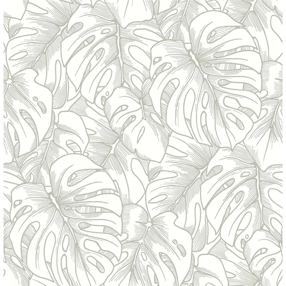 A-Street Prints by Brewster 2964-87344 Balboa Silver Botanical Wallpaper