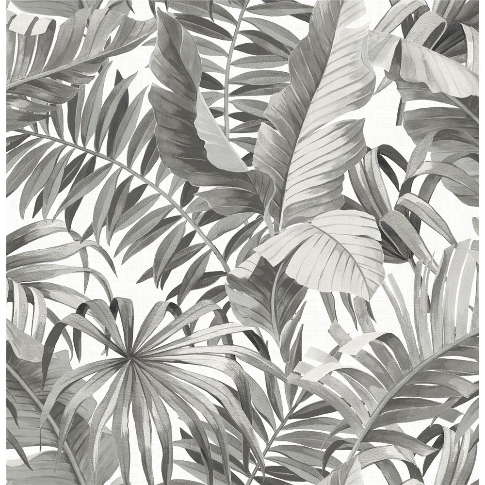 A-Street Prints by Brewster 2969-24134 Alfresco Grey Tropical Palm Wallpaper