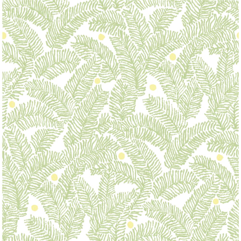 A-Street Prints by Brewster 2969-26033 Athina Sage Fern Wallpaper