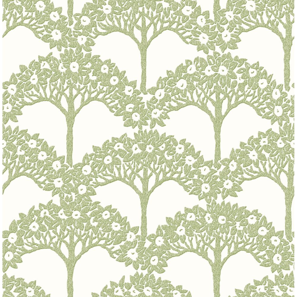A-Street Prints by Brewster 2970-26114 Dawson Green Magnolia Tree Wallpaper
