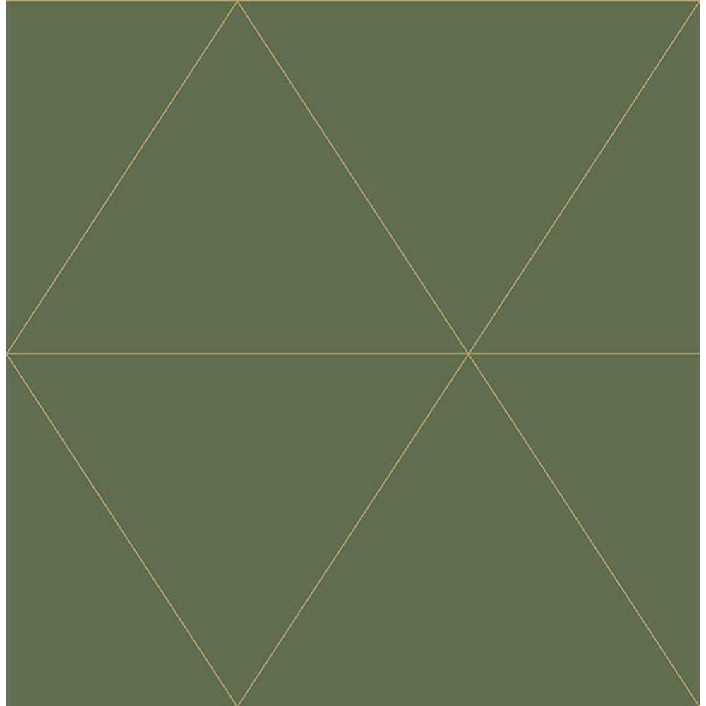 A-Street Prints by Brewster 2973-91010 Twilight Moss Geometric Wallpaper