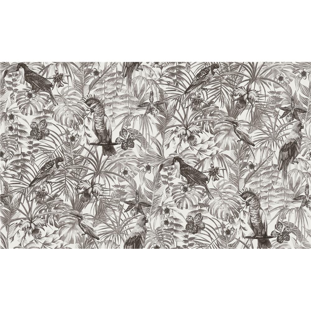 Advantage by Brewster 2979-37210-5 Susila Grey Tropical Wallpaper