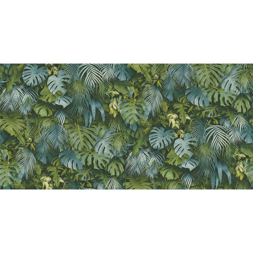 Advantage by Brewster 2979-37280-3 Luana Blue Tropical Forest Wallpaper
