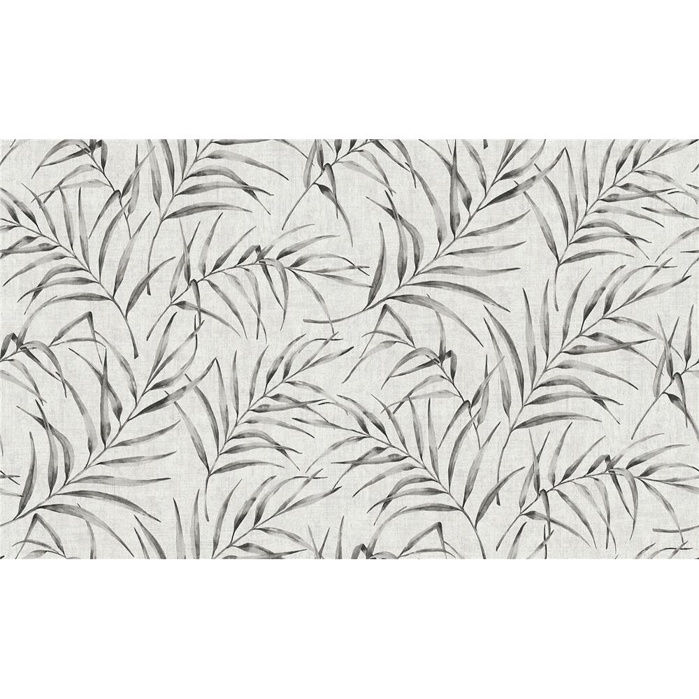 Advantage by Brewster 2979-37335-2 Lani Grey Fronds Wallpaper