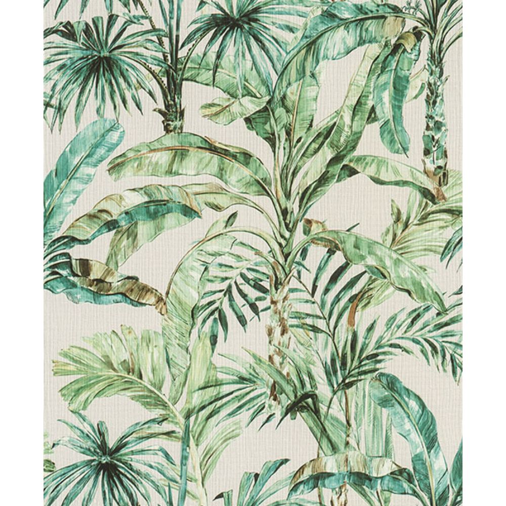 Advantage by Brewster 2980-485240 Calle White Tropical Wallpaper