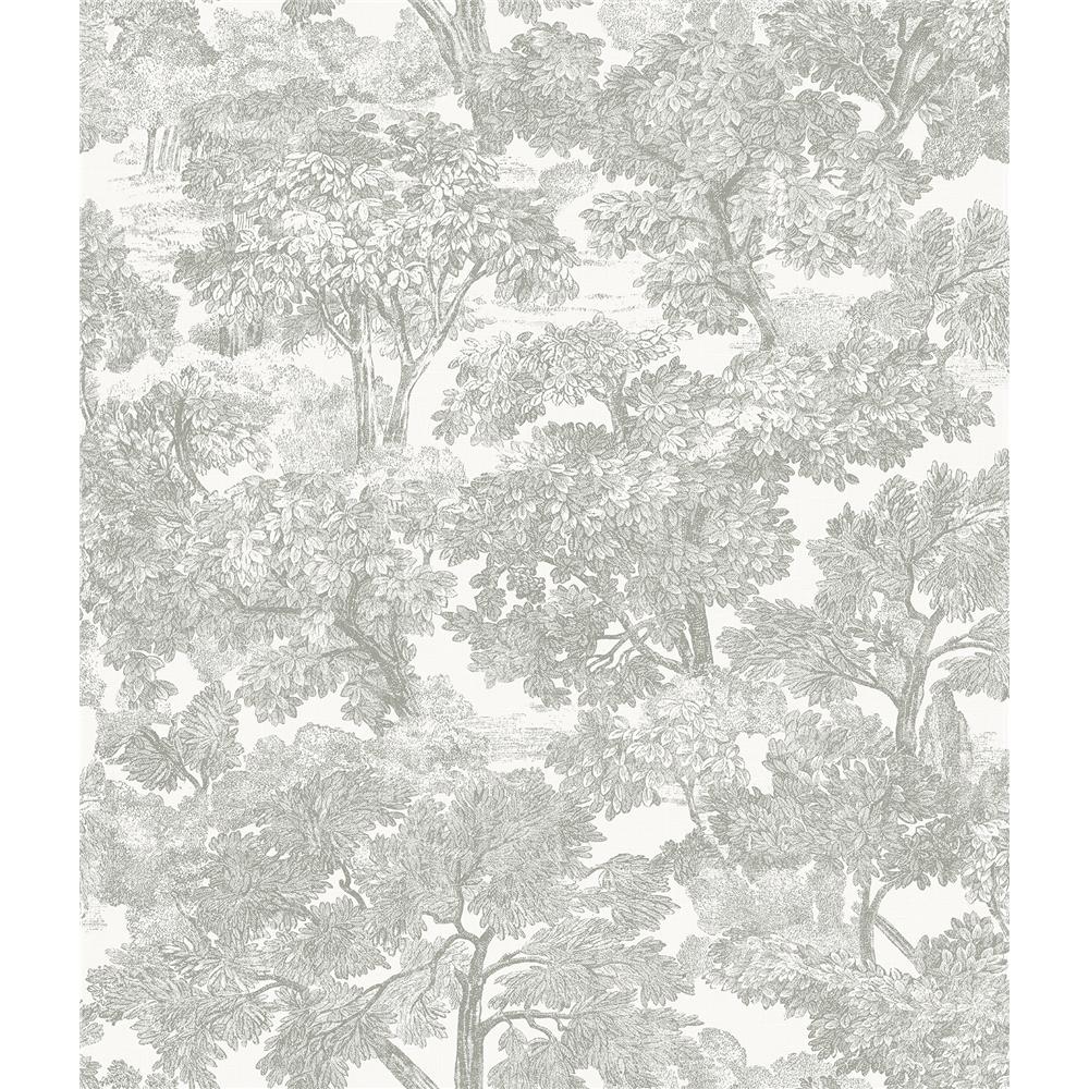 Chesapeake by Brewster 3115-12541 Farmhouse Spinney Grey Toile Wallpaper