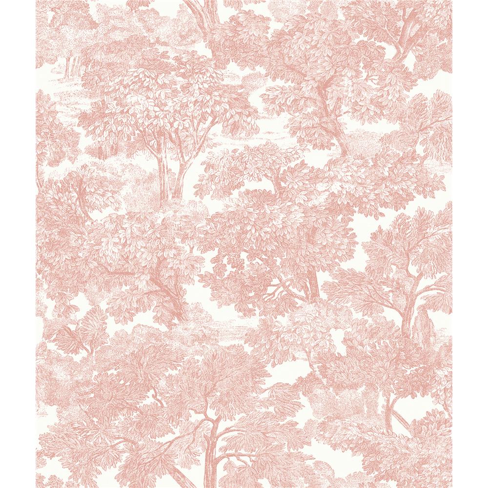 Chesapeake by Brewster 3115-12544 Farmhouse Spinney Rose Toile Wallpaper