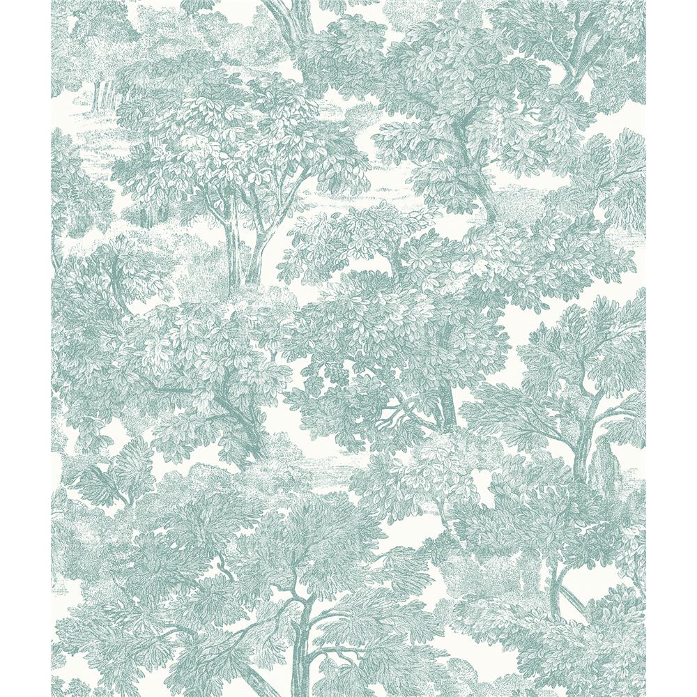 Chesapeake by Brewster 3115-12545 Farmhouse Spinney Teal Toile Wallpaper