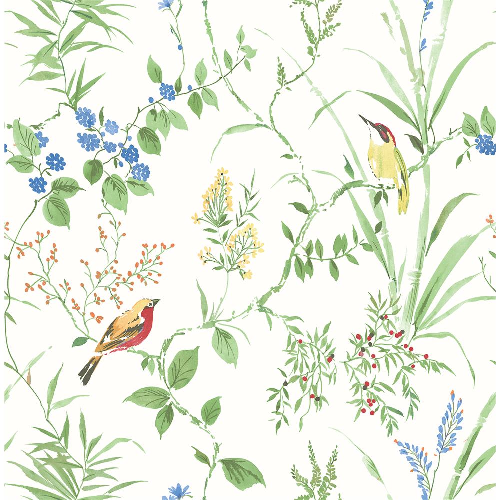 Chesapeake by Brewster 3117-24173 The Vineyard Imperial Garden Multicolor Botanical Wallpaper
