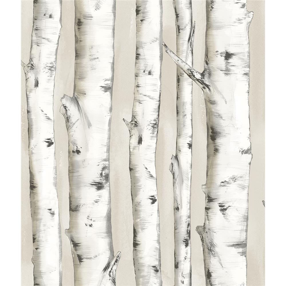 Chesapeake by Brewster 3118-12601 Birch & Sparrow Pioneer Off-White Birch Tree Wallpaper