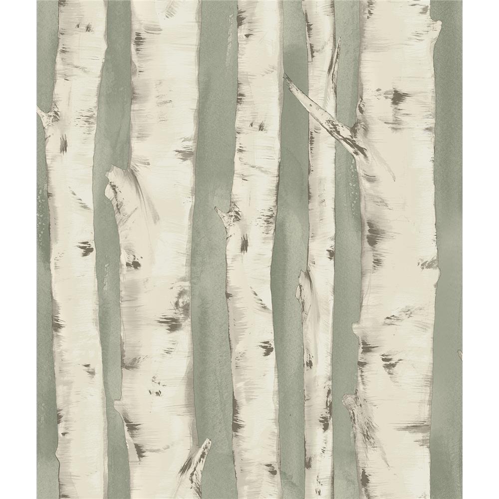 Chesapeake by Brewster 3118-12603 Birch & Sparrow Pioneer Sage Birch Tree Wallpaper