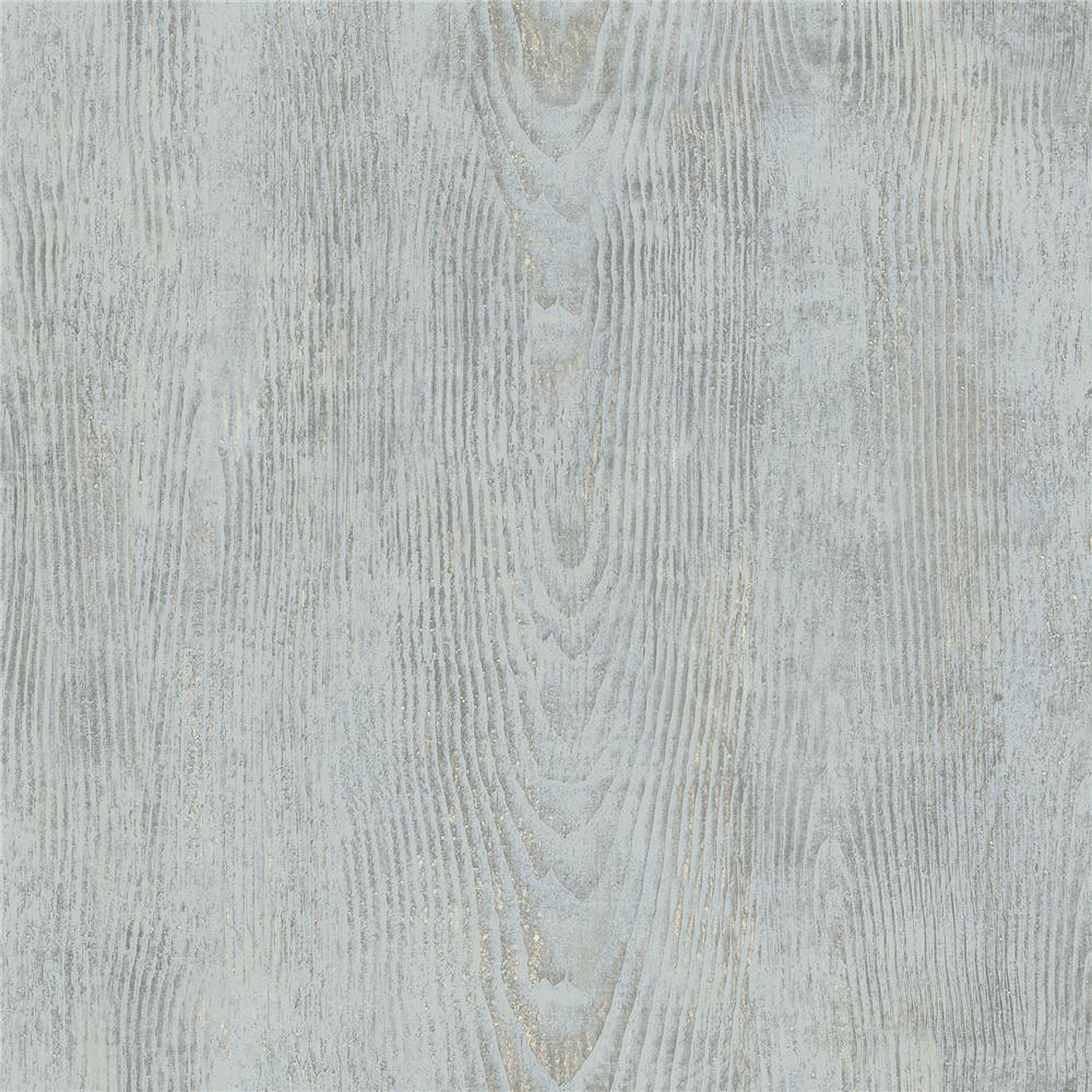 Chesapeake by Brewster 3118-12681 Birch & Sparrow Drifter Light Blue Wood Wallpaper