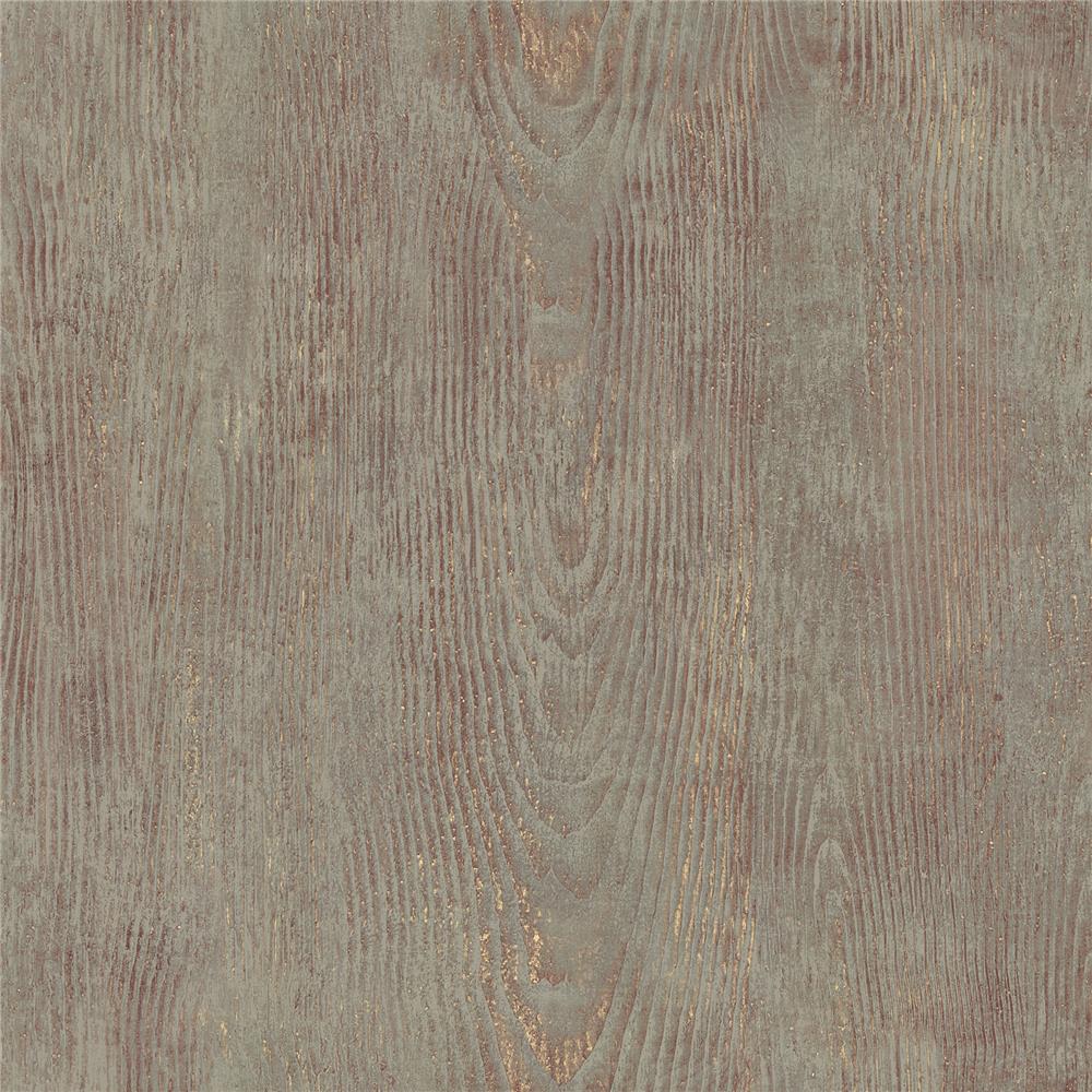 Chesapeake by Brewster 3118-12684 Birch & Sparrow Drifter Brown Wood Wallpaper