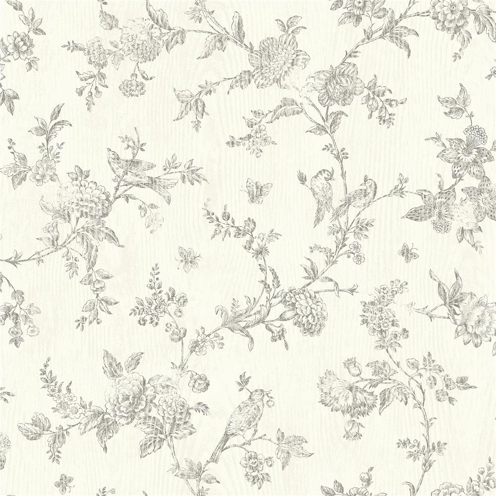 Chesapeake by Brewster 3119-02193 French Nightingale Taupe Floral Scroll Wallpaper
